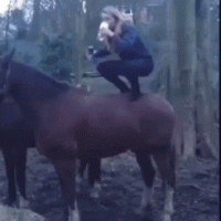 hold-my-beer-how-every-great-story-begins-15-gifs-13.gif