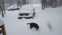 20180414_084031.jpg