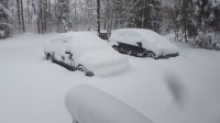 20180414_084036.jpg
