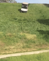 hold-my-beer-how-every-great-story-begins-15-gifs-5.gif