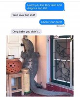 85631306.jpg
