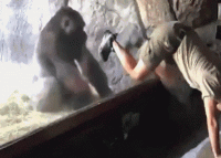 daily-morning-awesomeness-35-photos-441.gif