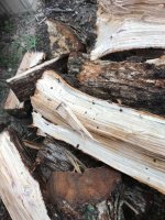Wood ID 4:23:18 1.jpg