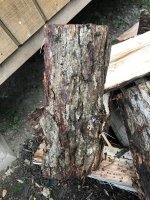 Wood ID 4:23:18 4.jpg