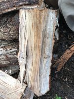 Wood ID 4:23:18 5.jpg