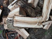 Wood ID 4:23:18 8.jpg
