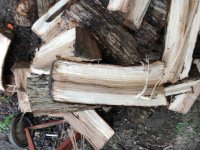 Wood ID 4:23:18 9.jpg