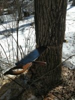 IMG_20180425_095831624.jpg