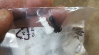 20180426_105506.jpg