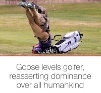 63d4689a34eefc5a23c5e444c1bf2b4f.jpg 63d4689a34eefc5a23c5e444c1bf2b4f.jpg