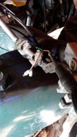 20180427_184230.jpg