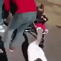 tumblr_p2pqnfMX1O1ui29dzo1_400.gif