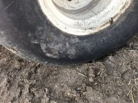 F8CD05CA-E5C6-486E-8007-DE2E28DC5A22.jpeg F8CD05CA-E5C6-486E-8007-DE2E28DC5A22.jpeg