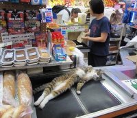 85643795.jpg 85643795.jpg