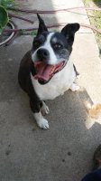 20180502_175028.jpg