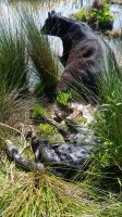 20180506_094300.jpg