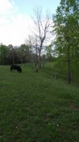 20180508_182018.jpg