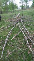 20180508_172943.jpg