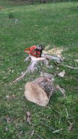 20180508_172845.jpg