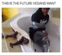 F603FB24-B934-4050-A170-6B99C7D2B9F1.jpeg
