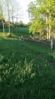 20180510_192906.jpg