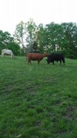 20180510_195844.jpg