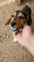 20180511_191420.jpg