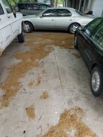 20180511_082052.jpg