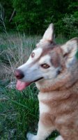 20180512_201610.jpg