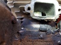 20180513_105013.jpg
