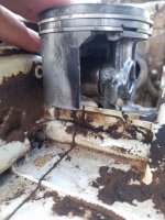 20180513_181230.jpg