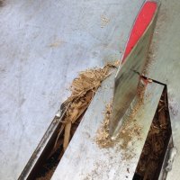 IMG_4705 (1).jpg IMG_4705 (1).jpg