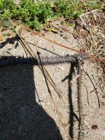 20180513_123658.jpg
