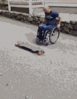 3BD56366-FEE3-4739-9FA7-D41D940D2F39.gif