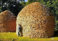 firewood6.jpeg