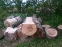 20180518_181958.jpg
