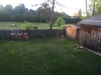 IMG_6769.JPG