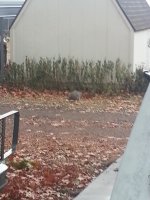 20141121_153657.jpg