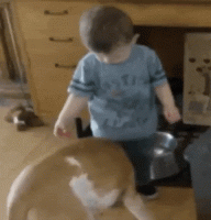irrefutable-proof-that-kids-are-just-little-drunk-people-xx-gifs-7.gif