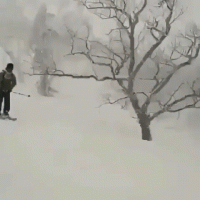 oh-sht-that-was-unexpected-xx-gifs-8.gif