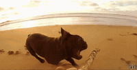 its-monday-wait-for-it-16-gifs-215.gif