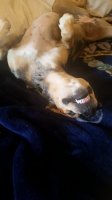 20180523_085100.jpg