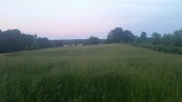 20180523_194558.jpg
