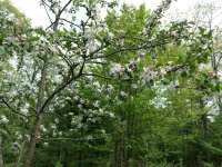 IMG_20180524_151727494.jpg