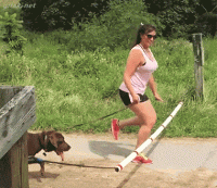 daily-morning-awesomeness-38-photos-252.gif