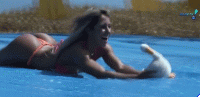 things-that-bounce-thursday-17-gifs-2.gif