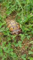 20180530_095658.jpg
