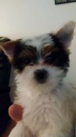 20180601_195705.jpg