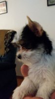 20180601_195708.jpg