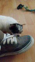 20180601_195438.jpg